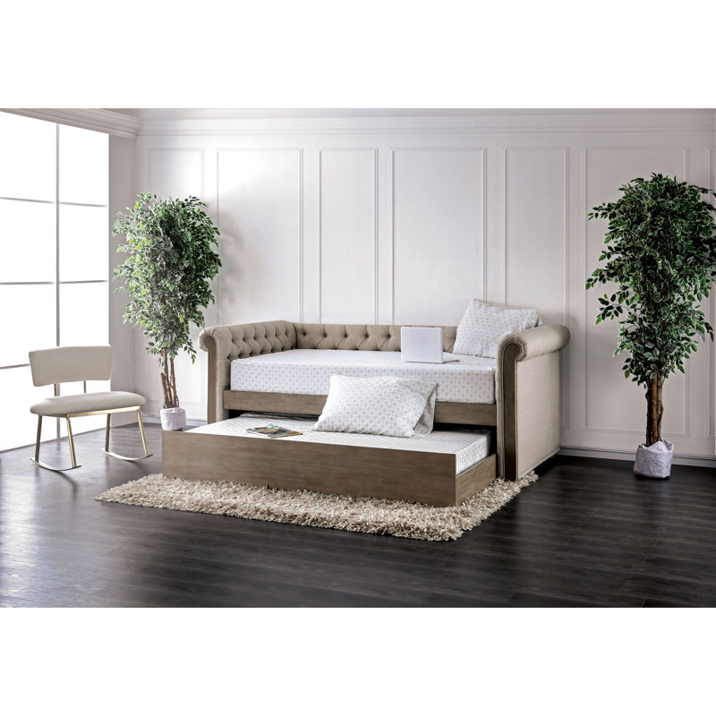 Red Barrel Studio Reyansh Twin XL Daybed with Trundle Wayfair